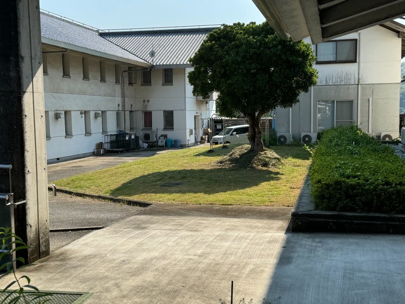 草刈り後の芝生と建物